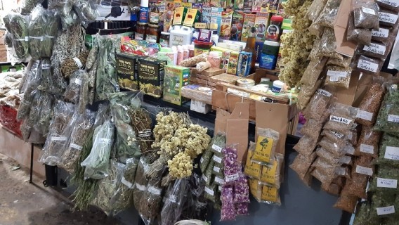 Medicina natural y hierbas curativas de la tierra colorada