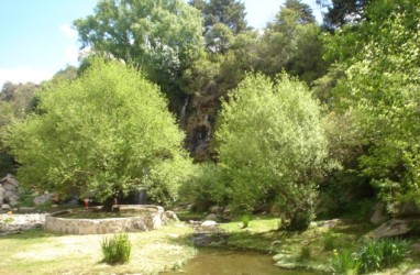 Localidad siete cascadas