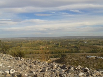 Chacras vistas desde la barda norte Alto Valle