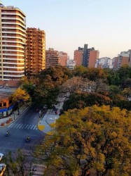 Barrio Norte
