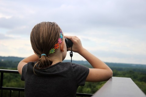 Los mejores lugares para el birdwatching en Misiones