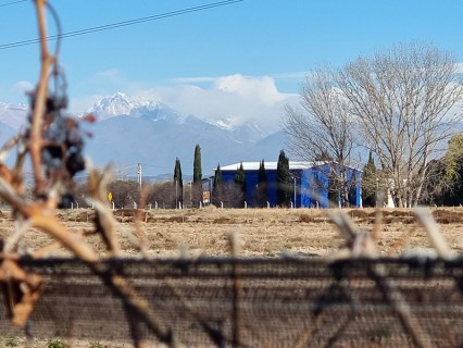 Lambrusco Grasparossa: insignia de una bodega mendocina