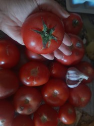 La nobleza de la bruschetta